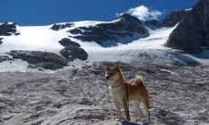 米兰体育app入口-绿茵场上的战争隐喻，当乌克兰坚韧对阵皇马银河，加克波诠释何为稳定输出