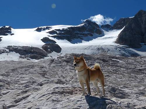 绿茵场上的战争隐喻，当乌克兰坚韧对阵皇马银河，加克波诠释何为稳定输出