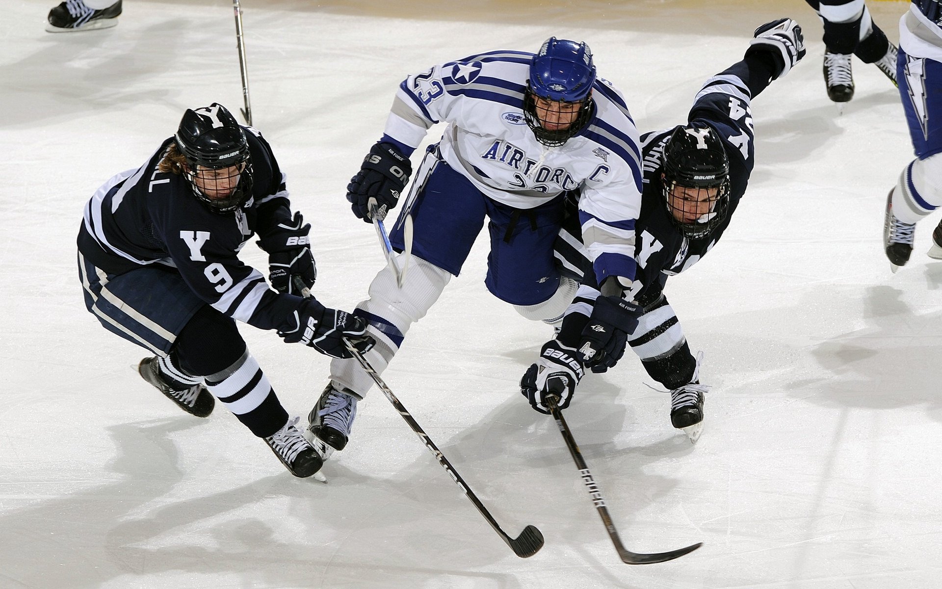 范弗利特破冰封锁,奇才用团队防守冻结灰熊